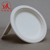 10 inch Sugarcane Bagasse Pulp Plate Biodegradable Bagasse Tableware Dishes Disposable Plates Tableware