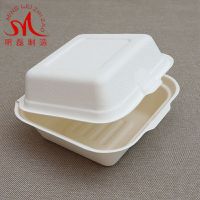 6 inch Bamboo and Bagasse Pulp Food Container Lunch Box High Quality Disposable Lunch Boxes