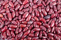 High quaity Red and white Beans, kidney beans from Madagascar