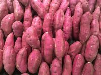 High quality sweet potato from Madagascar