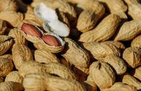 High quality peanuts from Madagascar
