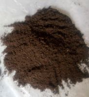 Vermicompost Organic Fertilizer