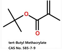 tert-Butyl Methacrylate 585-07-9