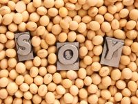 High Nourishing Soy Beans