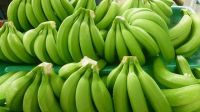 Green Bananas