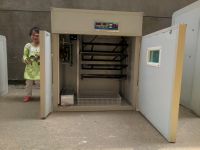 china full-automatic electric reptile poultry breeding