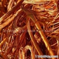 High Quality Mill Berry Copper Wire, 99.0%Min