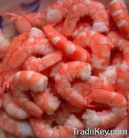 Frozen Shrimp