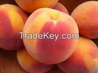 Peach Fruit