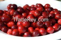 Cranberry Fruits