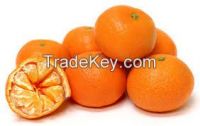 Tangerine/Clementine