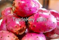 Prickly Pear