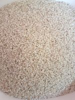 Sesame Seeds Natural For Sale at Wholesale Price  big discount