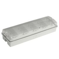 110-240V Battery Operated rechargeable IP65 LED Emergency Light