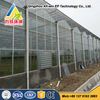 Automatic muti span glass tomato greenhouse