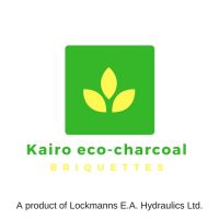 Kairo charcoal briquettes