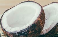 Coconut