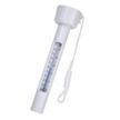       Floating thermometer