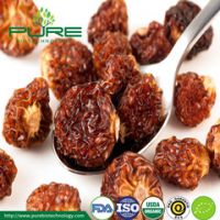 Organic Dried Sea Buckthorn Berry