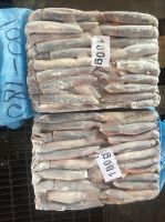 Frozen Illex Squid 100-180g