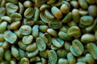 Green Arabica Coffee Beans -Grade AA, AB, PB, C, E