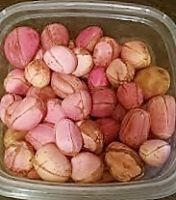 High quality  Fresh  Red Kola Nuts