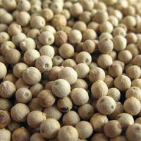 100% natural cleaned dried whole white pepper