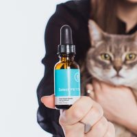 Pure CBD Oil for Dogs â Pets Hemp 750mg