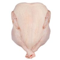 Halal A Grade Frozen Whole Chicken, Chicken Feet, Chicken Paws, Chicken Breasts and more