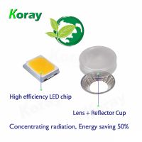 Koray Full Spectrum LED Plant Grow Light Bar for Hydroponic Vertical Farm