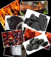 hardwood charcoal and briquettes 