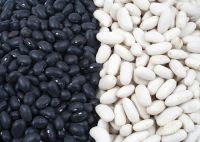Inorganic Black Bean for sale