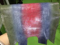 Lizard Leather