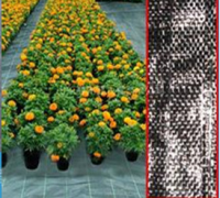 Agricultural Weed Mat/landscape Fabric, Pp /pe Weed Mat,pp Ground Cover