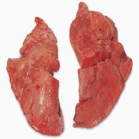  Order Quality  Halal Chicken Livers &   Chicken  Hearts