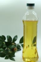 Camellia Seed Oil Cooking Oil Camellia Bottle Glass Bulk Packing Pure Essential Oil Organic Refined Oil 