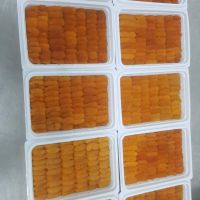 Fresh/Frozen sea Urchin