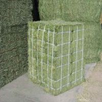 High Quality Alfafa Hay for Animal Feeding Stuff Alfalfa / Timothy / Alfalfa Hay for Sale* 