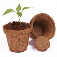 Coconut Fiber Pot