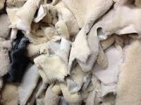 sheep skin