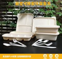 Eco-friendly PLA Disposable Food Container