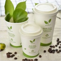 Ecofriendly Natural Pla Drinking Coffee Cup Biodagrade Cup Starbucks Cup