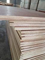 28mm/21ply Hight Quality Container flooring plywood/apitong Plywood from Viet Nam