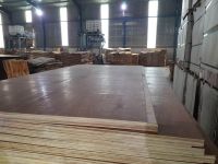 28mm/21ply Hight Quality Container flooring plywood/apitong Plywood from Viet Nam