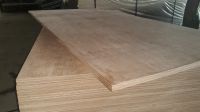 Keuring/APitong Container Flooring Plywood, Marine Container Plywood