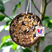 oval coconut shell with coir string