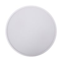 Ip60 Colorful Residential Round Lamp Smart Led Ceiling Lights