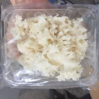 Fresh Sparassis Crispa Mushroom