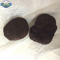 DETAN Fresh Mature Black Truffle with Strong Aroma