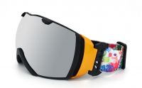 New Style Ski Goggles